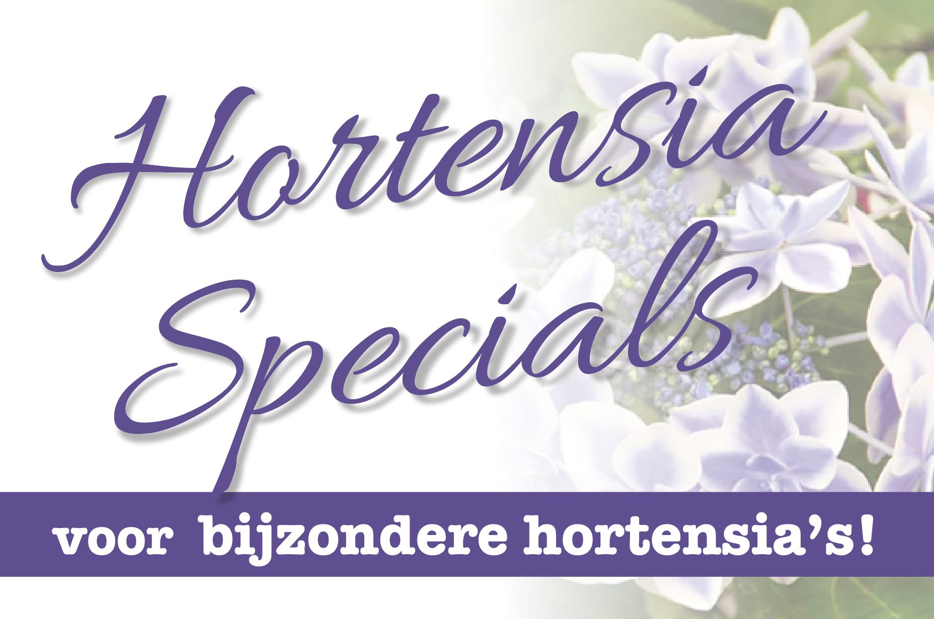 Logo van sponsor